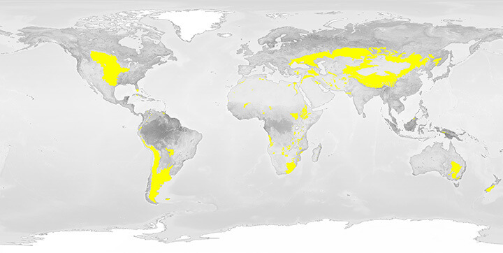 Temperate grassland regions of the world 