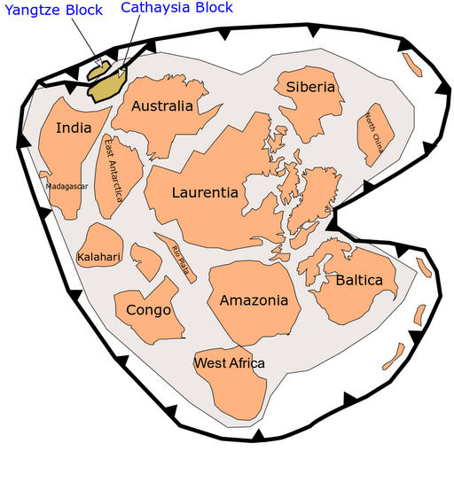 Rodinia supercontinent 