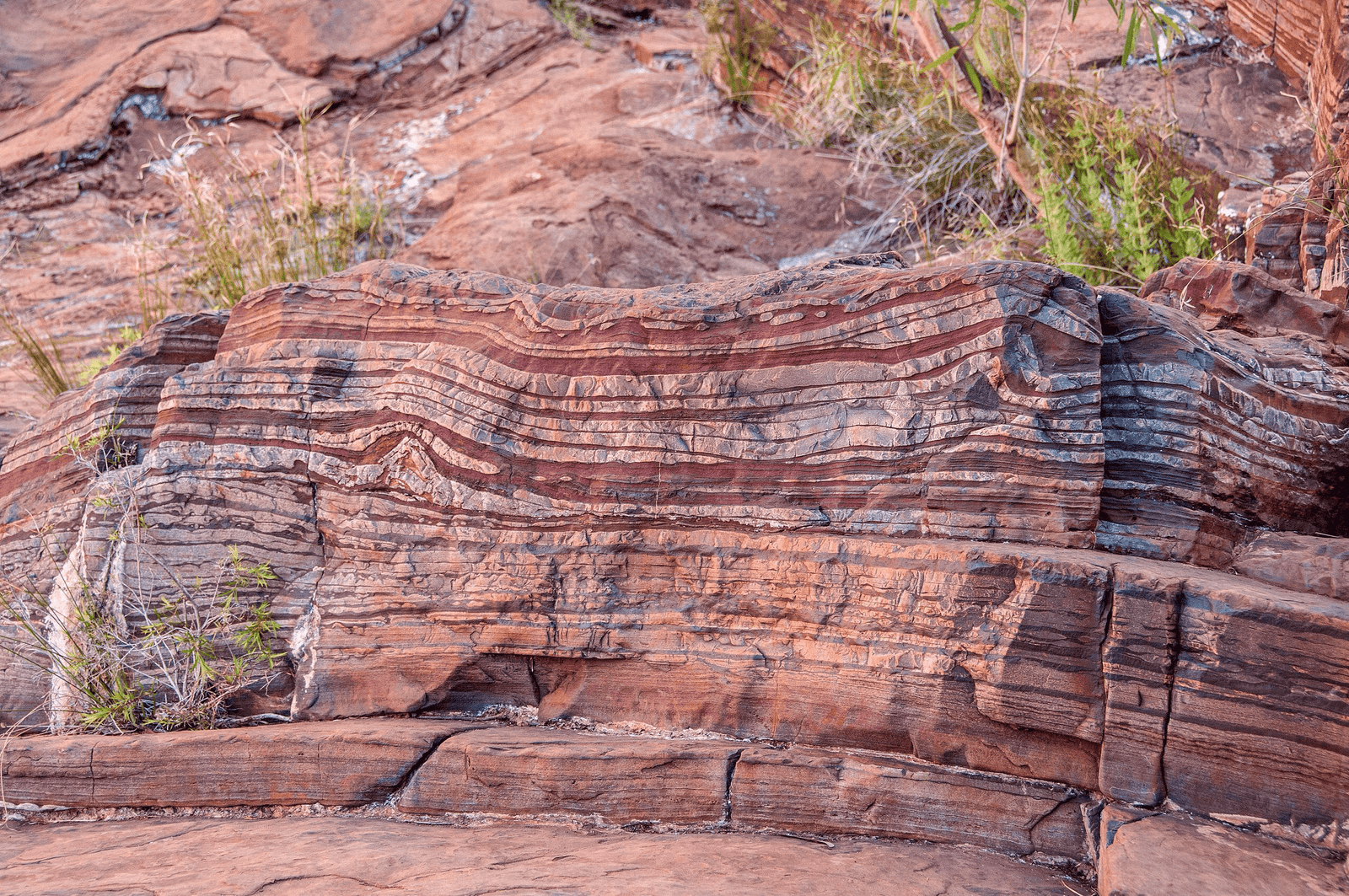 Geologic Timeline